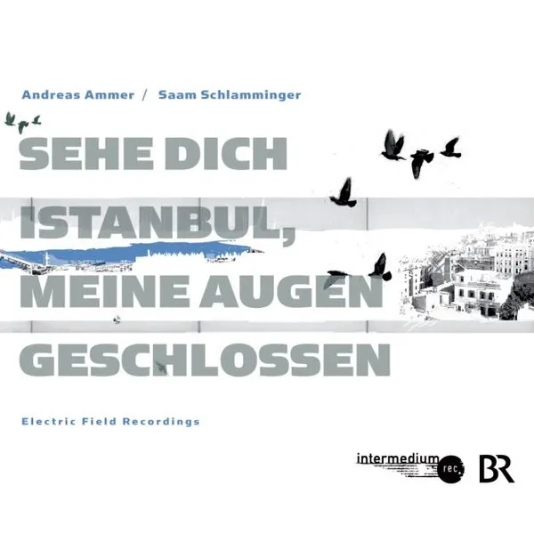 Sehe Dich Istanbul, Meine Augen Geschlossen