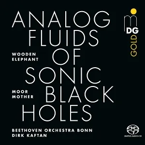 Analog Fluids of Sonic Black Holes (sinfonische Version)