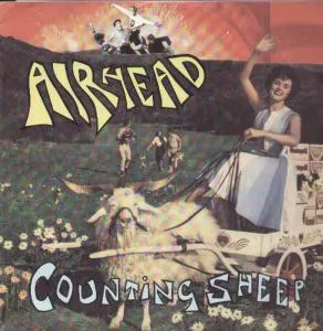 Counting Sheep