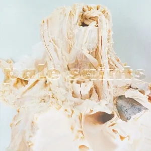 In Ribbons (30th Anniversary Re:Masters)