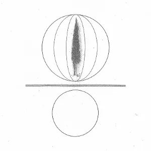 Spheres Collapser