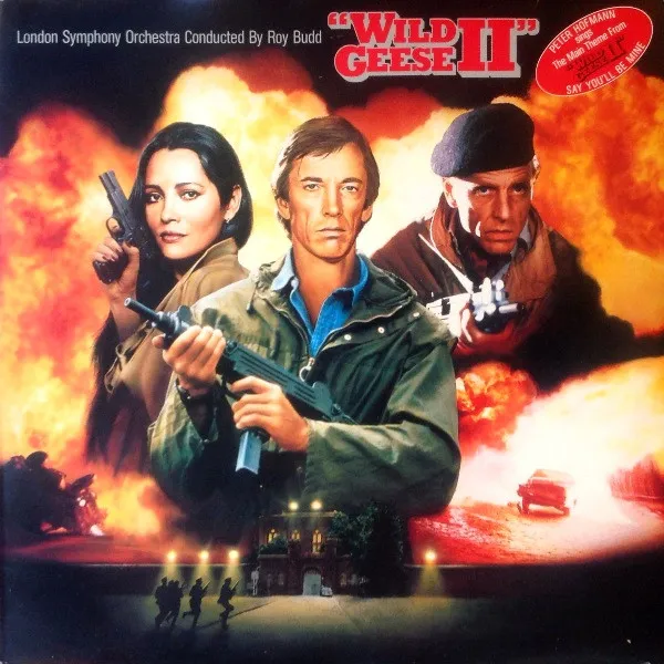 Wild Geese II