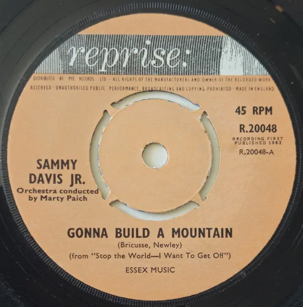 Gonna Build A Mountain