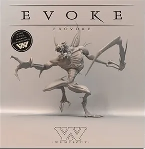 Evoke-Provoke