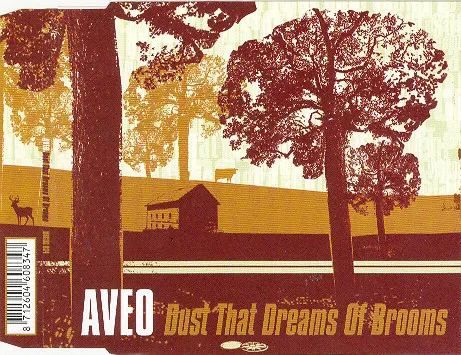 Dust That Dreams Of Brooms