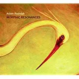 Morphic Resonances