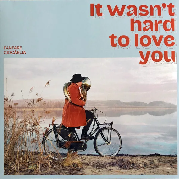 It Wasn't Hard To Love You