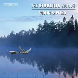 Violin & Piano