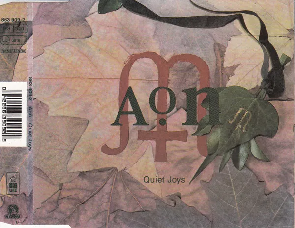 Quiet Joys