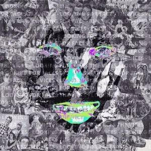 Looking For Faces