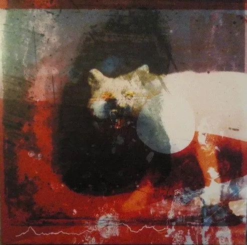 Mogwai
