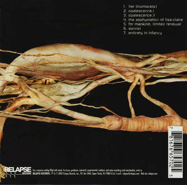 Transfer Trachea Reverberations From Point: False Omniscient