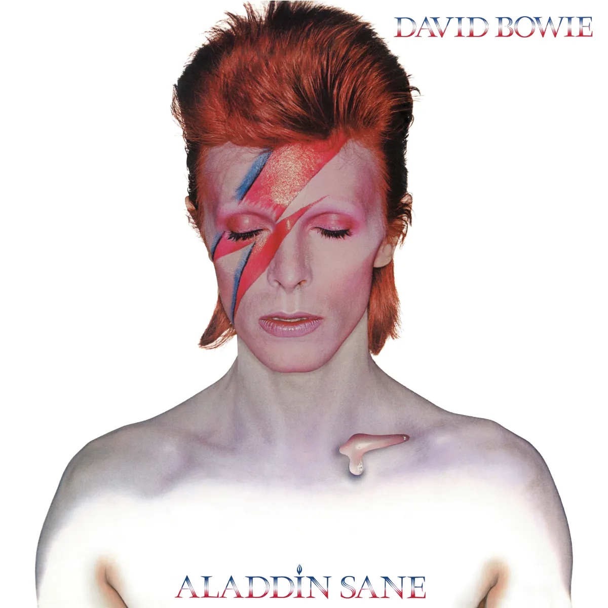 ALADDIN SANE PICTURE VINYL