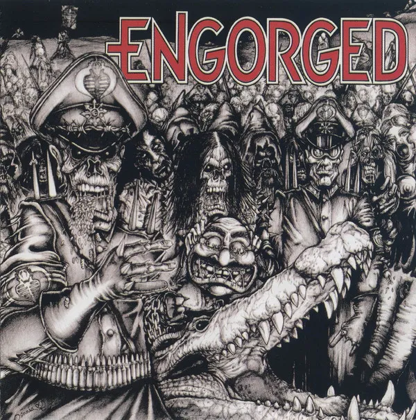 Engorged