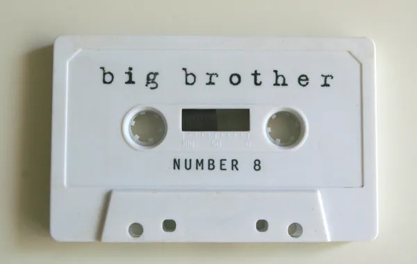 Big Brother Number 8