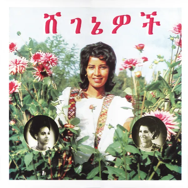 ሸ​ገ​ኔ​ዎ​ች = Beauties