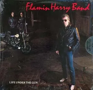 Life Under The Gun