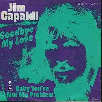 Goodbye My Love