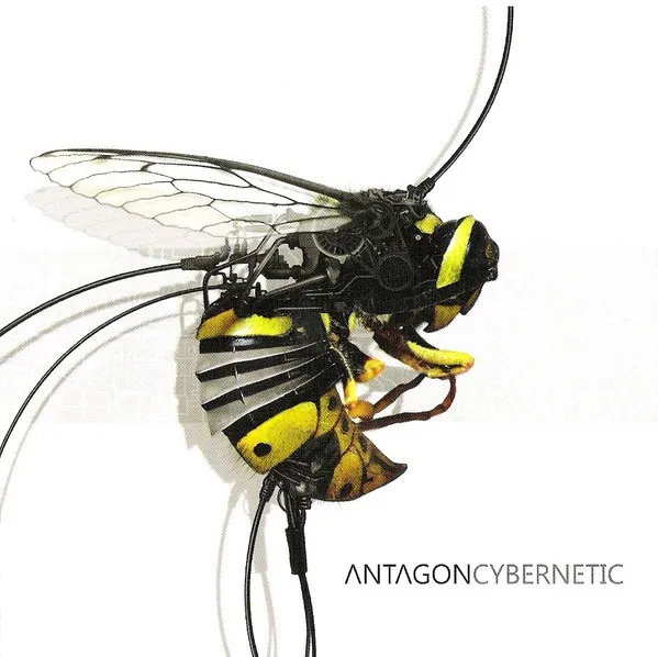 Cybernetic