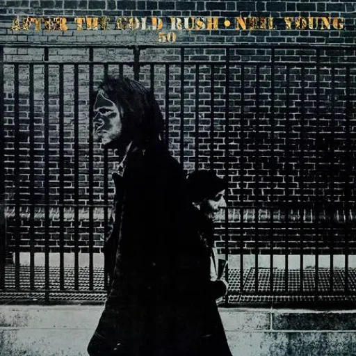 After The Gold Rush (50th Anniversary) (Limited Numbered Deluxe Edition Box) (180g)