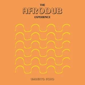 The Afrodub Experience