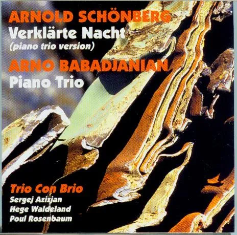 Verklärte Nacht (Piano Trio Version) - Piano Trio