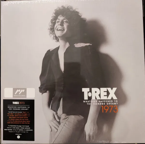 1973 (Whatever Happened To The Teenage Dream?)
