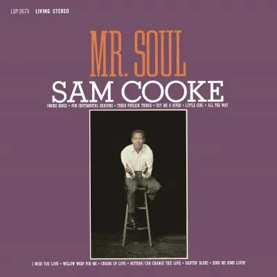 Mr. Soul