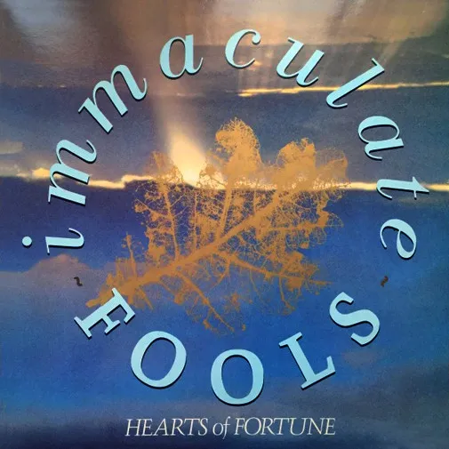 Hearts Of Fortune