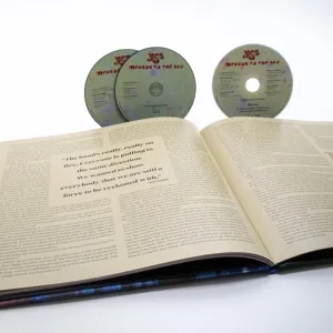 Mirror To The Sky (Limited Deluxe Edition)