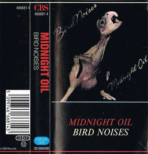 Bird Noises
