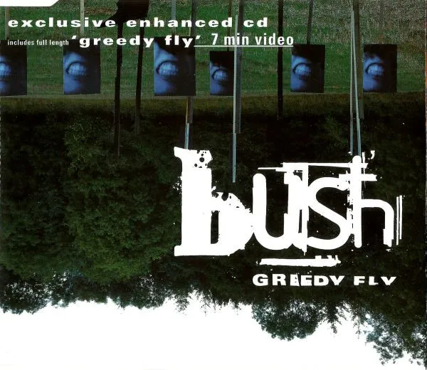 Greedy Fly