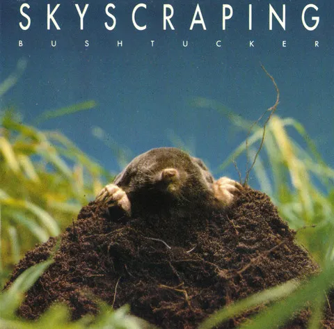 Skyscraping