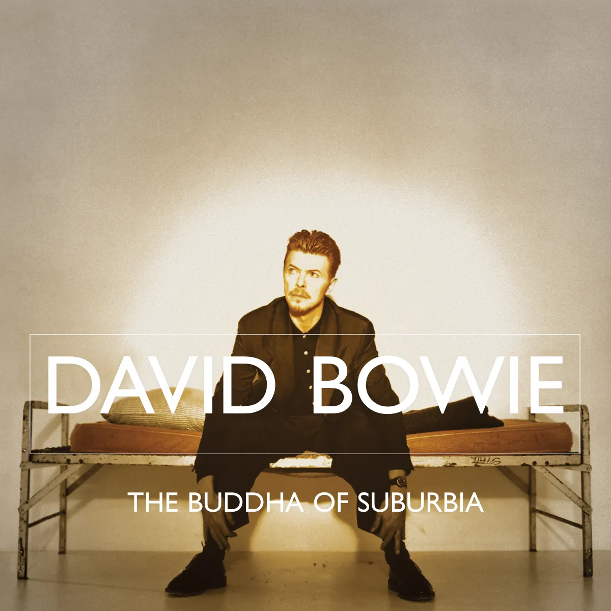 The Buddha Of Suburbia (2021 Remaster) (180g)