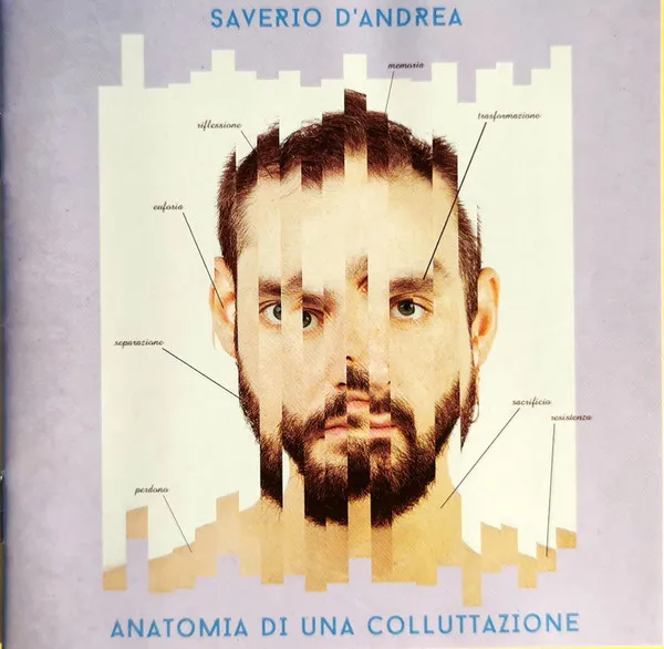 Anatomia Di Una Colluttazione