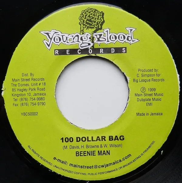 100 Dollar Bag