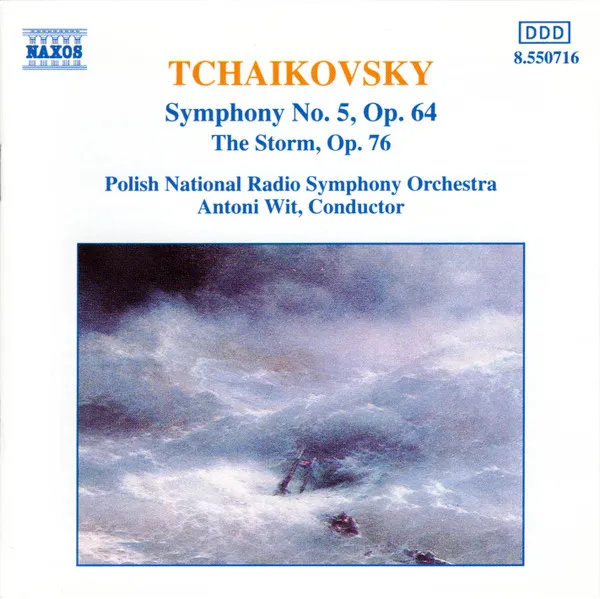 Symphony No.5 the Storm