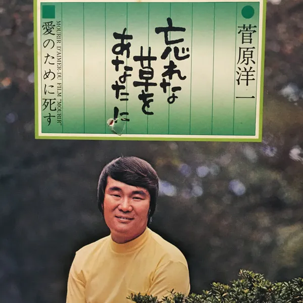 忘れな草をあなたに