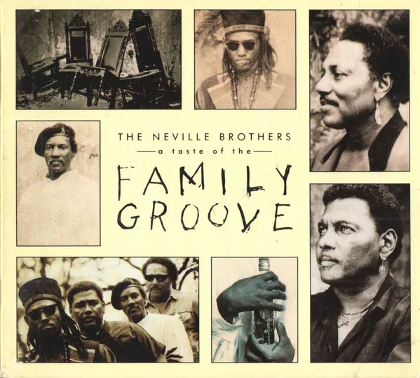 (A Taste Of The) Family Groove