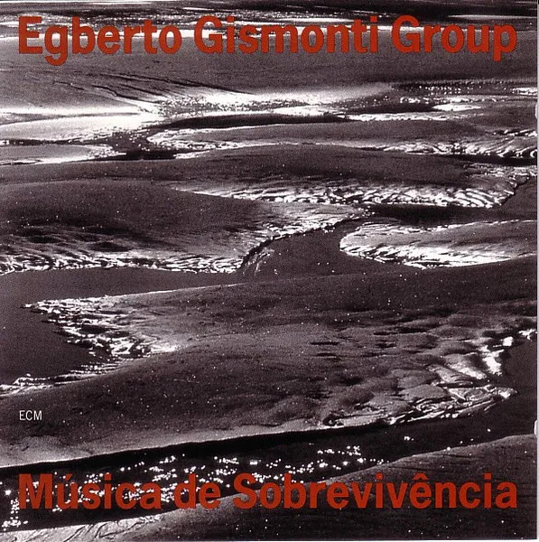 Musica De Sobrevivencia