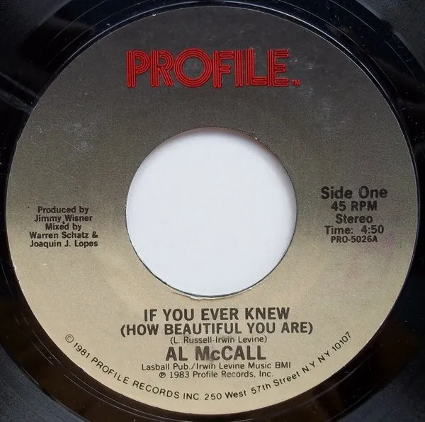 If You Ever Knew (How Beautiful You Are)