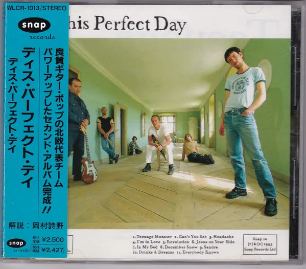 This Perfect Day