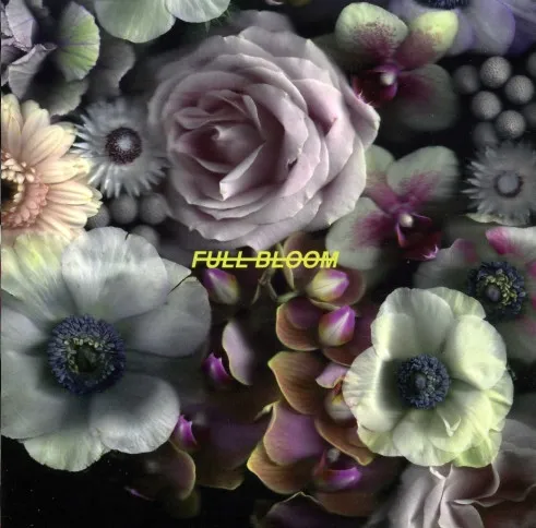 Full Bloom