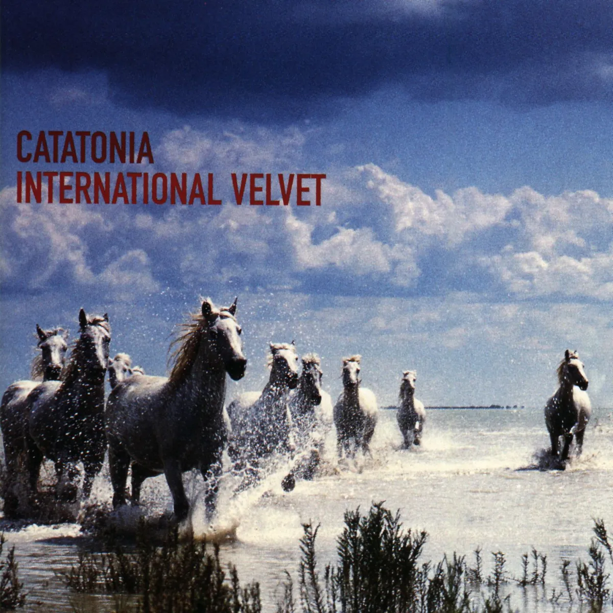 INTERNATIONAL VELVET