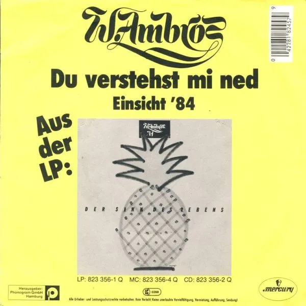 Du Verstehst Mi Ned