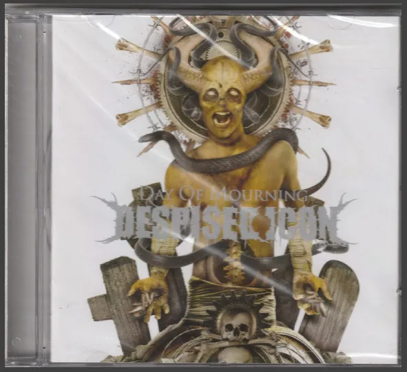 Despised Icon