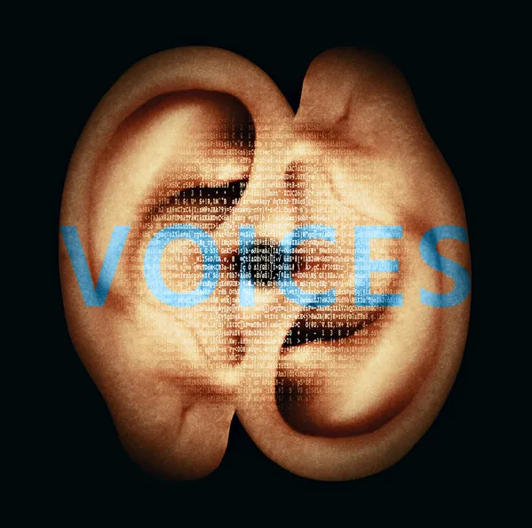 Voices