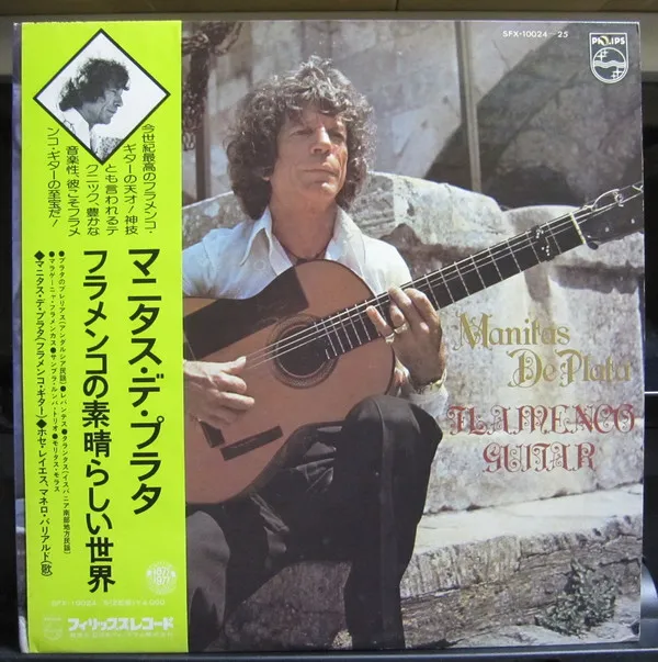 Flamenco Guitar
