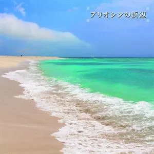 Beach of the Pliocene