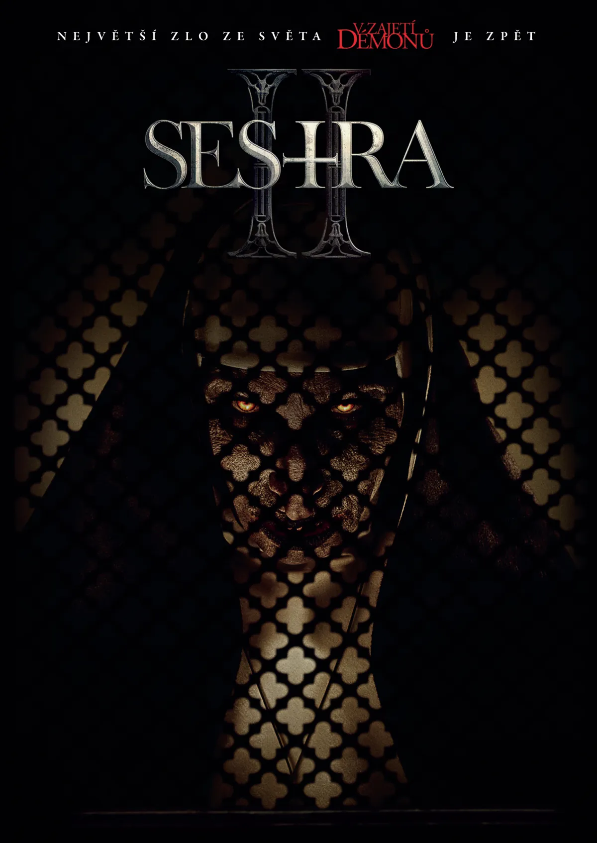Sestra II DVD